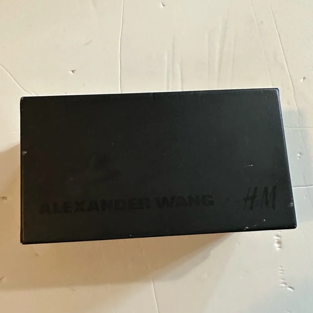 Alexander Wang x H&M Sunglasses